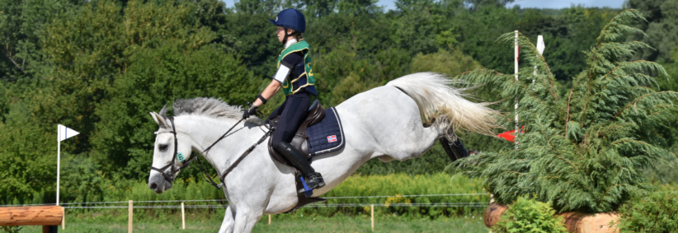 NM i feltritt 2019 -Lillestrøm Horse show